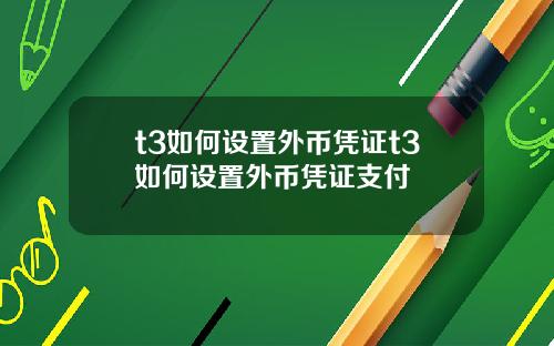 t3如何设置外币凭证t3如何设置外币凭证支付