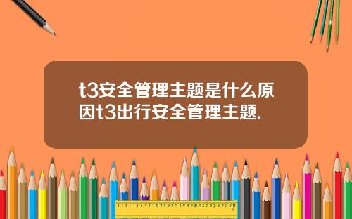 t3安全管理主题是什么原因t3出行安全管理主题.