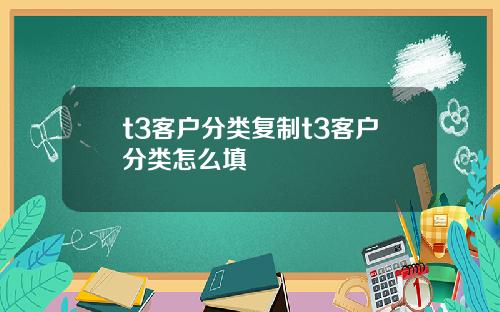 t3客户分类复制t3客户分类怎么填