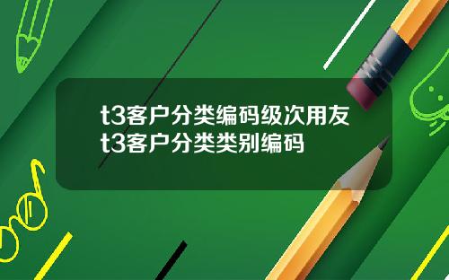 t3客户分类编码级次用友t3客户分类类别编码