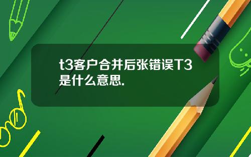 t3客户合并后张错误T3是什么意思.