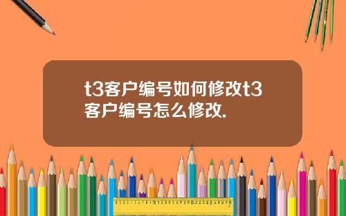 t3客户编号如何修改t3客户编号怎么修改.