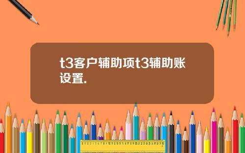 t3客户辅助项t3辅助账设置.