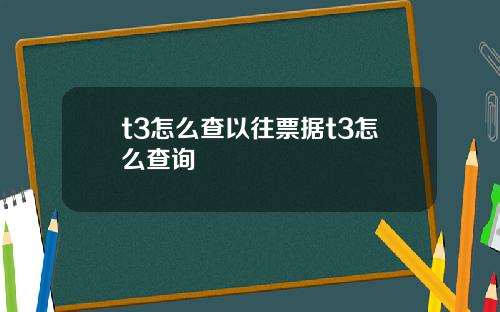 t3怎么查以往票据t3怎么查询