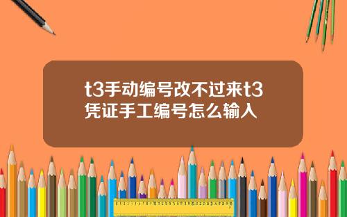 t3手动编号改不过来t3凭证手工编号怎么输入