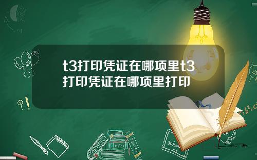 t3打印凭证在哪项里t3打印凭证在哪项里打印