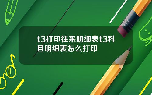 t3打印往来明细表t3科目明细表怎么打印