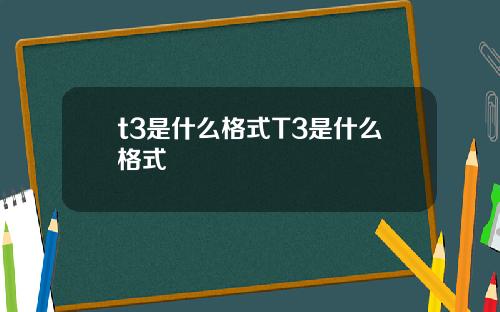 t3是什么格式T3是什么格式