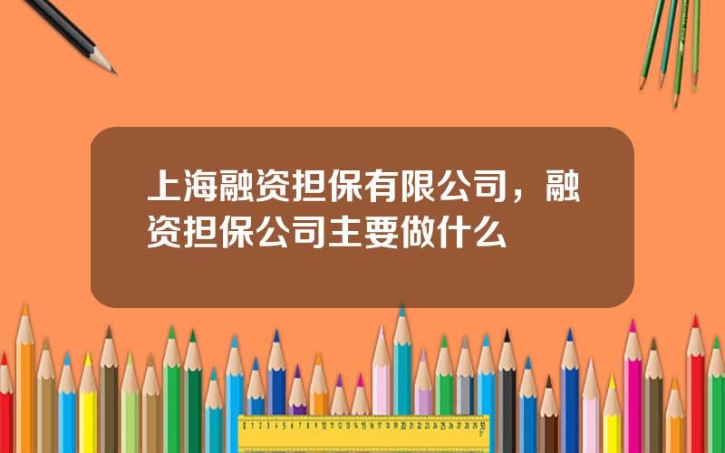 上海融资担保有限公司，融资担保公司主要做什么