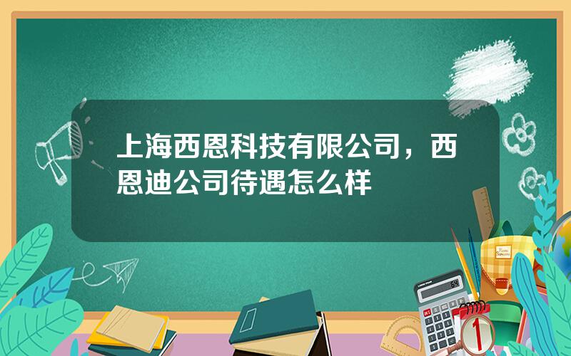 上海西恩科技有限公司，西恩迪公司待遇怎么样