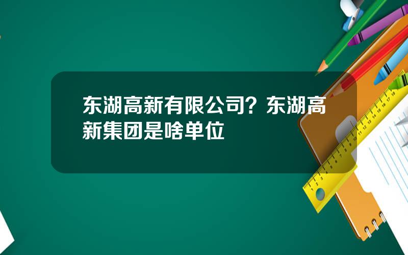 东湖高新有限公司？东湖高新集团是啥单位