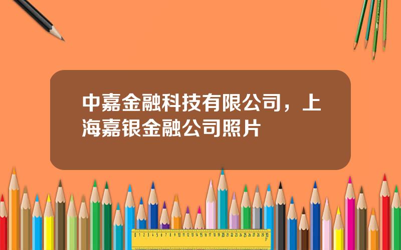 中嘉金融科技有限公司，上海嘉银金融公司照片