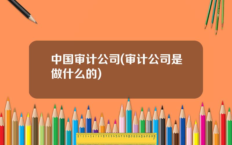 中国审计公司(审计公司是做什么的)