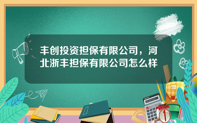 丰创投资担保有限公司，河北浙丰担保有限公司怎么样