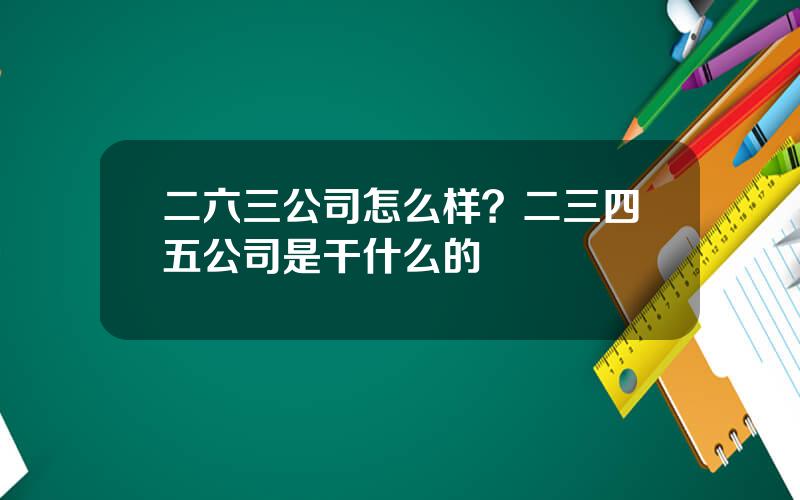 二六三公司怎么样？二三四五公司是干什么的