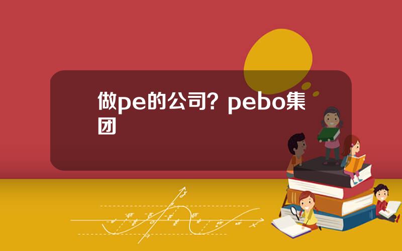 做pe的公司？pebo集团