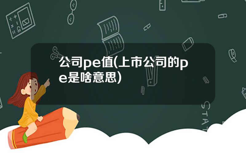 公司pe值(上市公司的pe是啥意思)