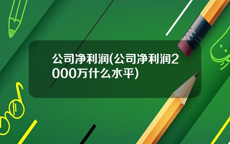 公司净利润(公司净利润2000万什么水平)