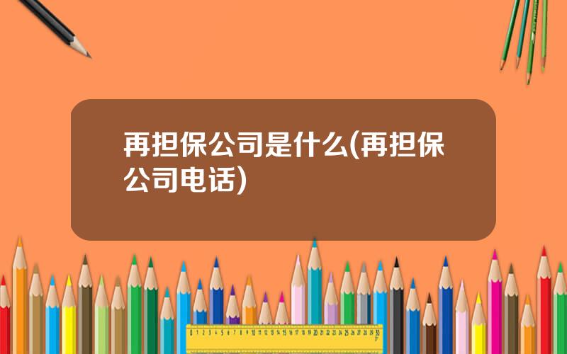 再担保公司是什么(再担保公司电话)