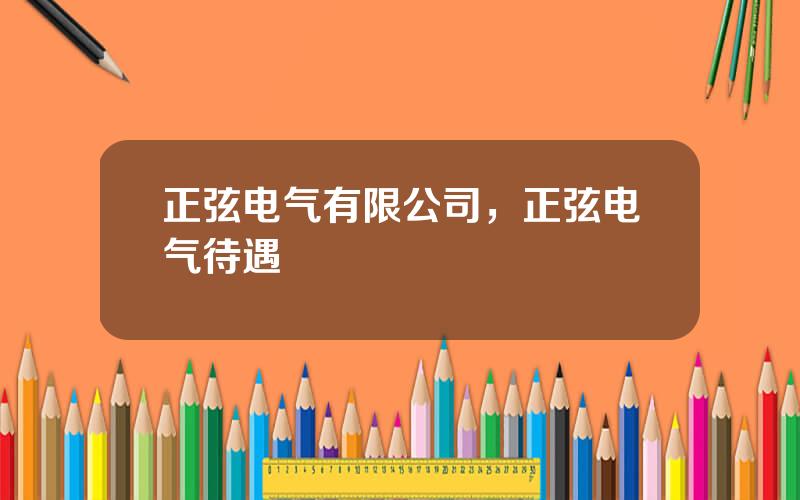 正弦电气有限公司，正弦电气待遇