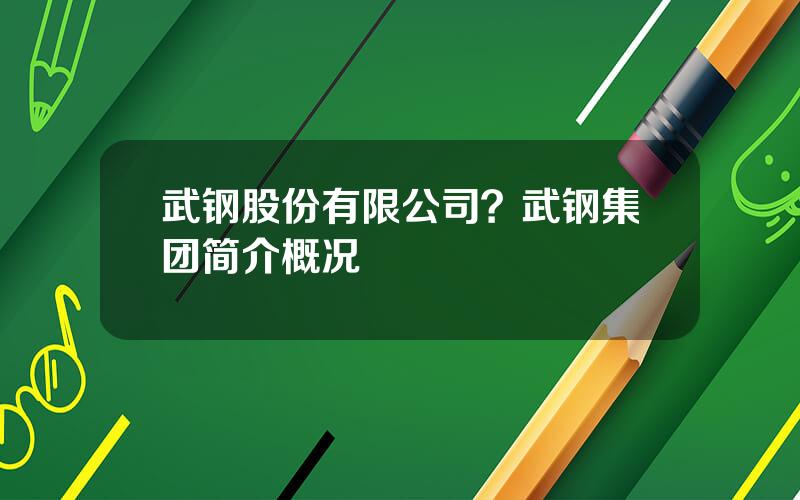 武钢股份有限公司？武钢集团简介概况