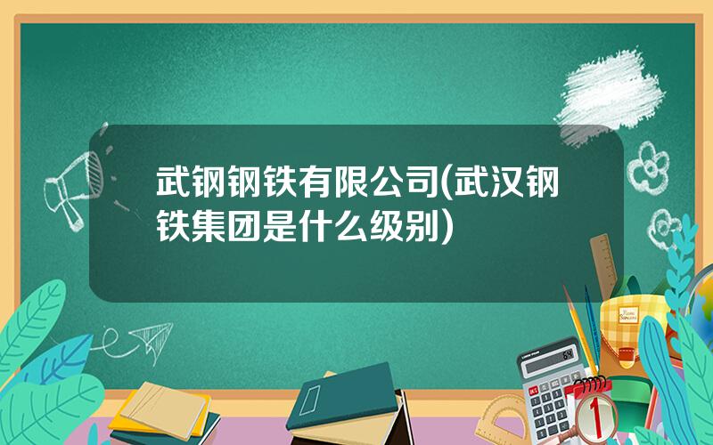 武钢钢铁有限公司(武汉钢铁集团是什么级别)