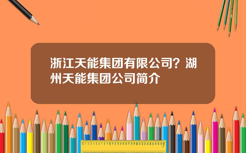 浙江天能集团有限公司？湖州天能集团公司简介