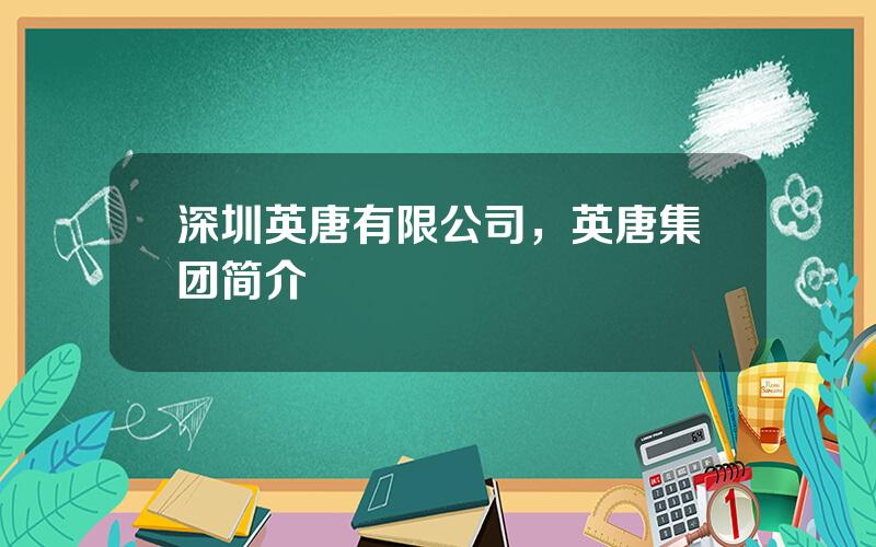 深圳英唐有限公司，英唐集团简介